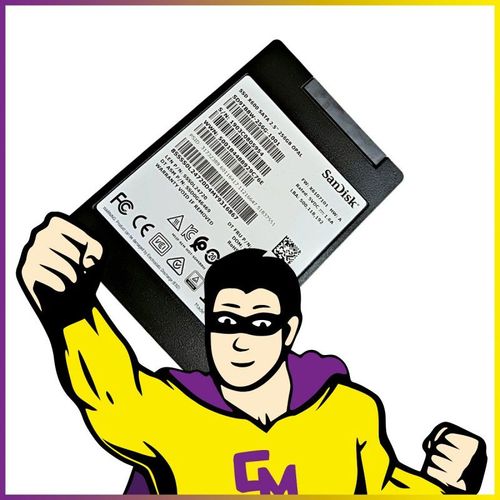 SSD 256Go 2.5" SanDisk X600 SD9TB8W-256G-1001 SATA III 6Gbps