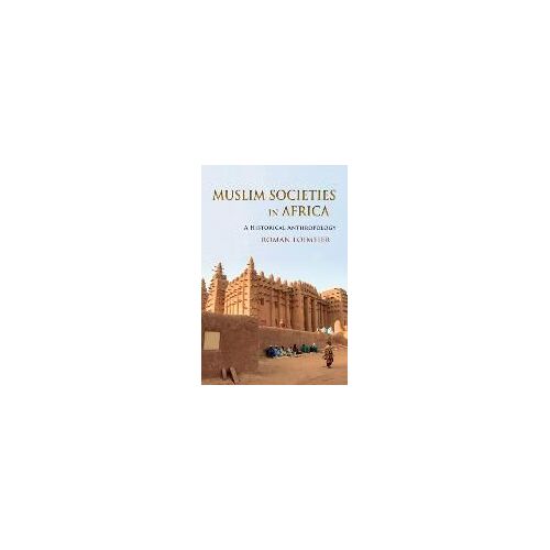 Muslim Societies In Africa