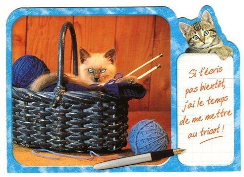 Carte Postale - Collection Mes Mots - " Si T'écris Pas Bientôt, J'ai Le Temps De Me Mettre Au Tricot ! "