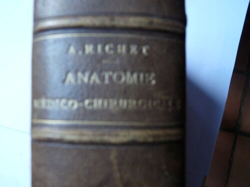 Traite Pratique D'Anatomie Medico-Chirurgicale