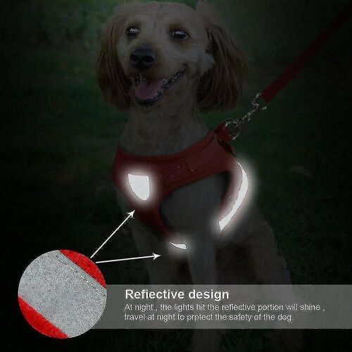 Cat Dog Walking Jacket Harness Lead Escape Proof Réglable Pet Puppy Mesh Vest-Size: Xl / Couleur: Bleu