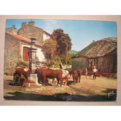 Couleurs Et Lumière De France - L'auvergne Pittoresque - Cour De Ferme Auvergnate