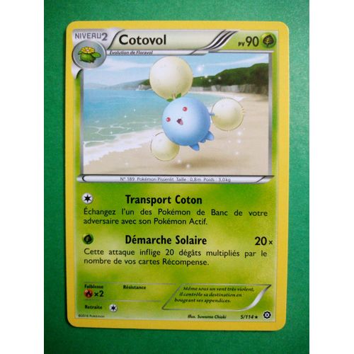 Cotovol 5/114 - Carte Pokémon Offensive Vapeur