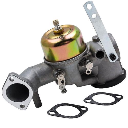 Carburateur Carb avec joints de remplacement 252702 252707 253702 253706 393410 Compatible avec Briggs