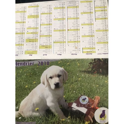 Calendrier 2010 - Ecole Limousine Chiens Guides D Aveugles - 16x12,5 Cm