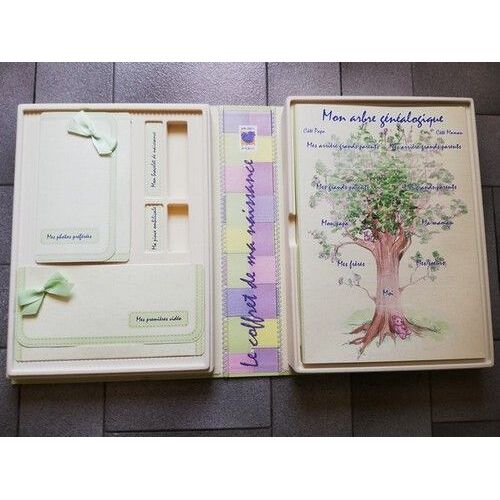 Coffret Naissance Poussin Bleu