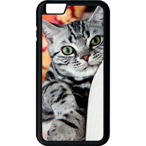 Coque Pour Smartphone - Chat Tigré Gris Yeux Vert - Compatible Avec Apple Iphone 6 Plus - Plastique - Bord Noir