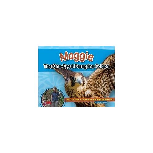 Maggie The One-Eyed Peregrine Falcon