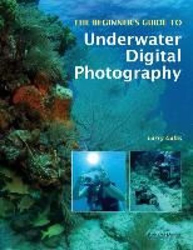 The Beginner's Guide To Underwater Digital Photography