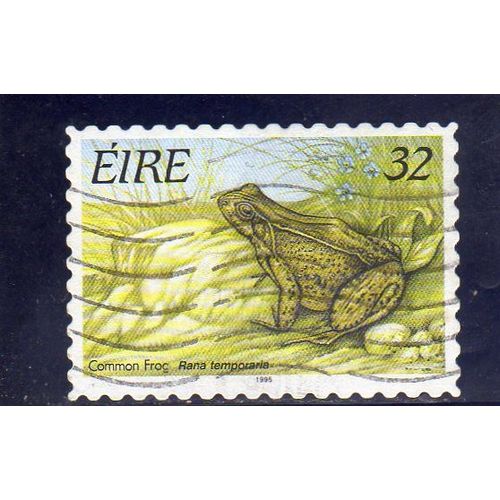 Timbre-Poste DIrlande (Batracien)