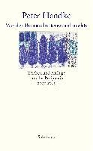 Vor Der Baumschattenwand Nachts