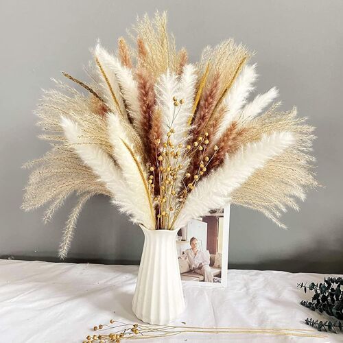 KALANKA-Lot de 90 Herbes de La Pampa Séchées Naturelle Décoration, Bouquet de Pampa Fleurs Compositions Séchée Blanche Beige, Tiges de Pampas Plumes Plantes pour Déco Intérieur, Chambre, Boho Mariage