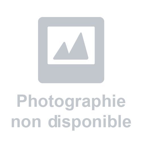 Paire de contre-poids de roues pour motoculteur Z8 EUROSYSTEMS