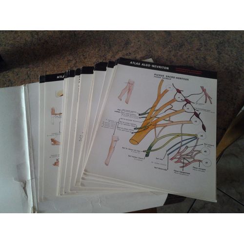 30 Affiches Atlas Algo Nevriton