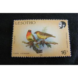 Oiseaux
