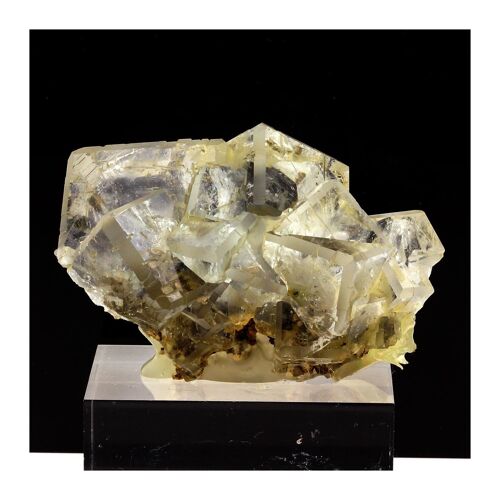 Fluorite + Quartz. 901.3 Ct. Nikolaevskiy Mine, Dal'negorsk, Russie.