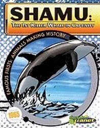 Shamu: The 1st Killer Whale In Captivity