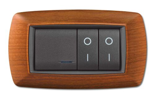 1 XPLAQUE DE VIE MOD. PLAST VIVANT. BOIS CH. 4P