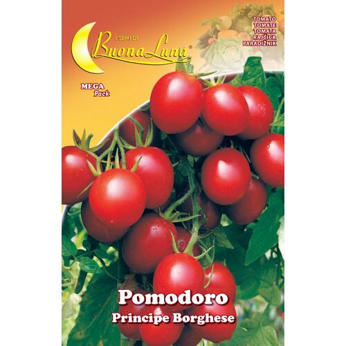 10 XGRAINES DE TOMATES CERISES LeGUMES