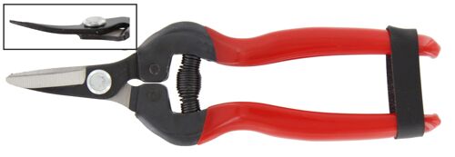 1 XCISEAUX POUR RAISINS A LAMES COURBeES PROFONDES. ReF.21095