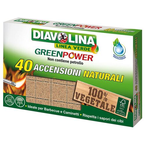 24 X ALLUME-FEU 40 CUBES DE PUISSANCE VERT DIAVOLINA