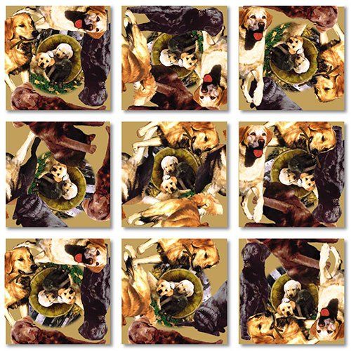 B.Dazzle Scramble Squares Retrievers 9 Piece Challenging Puzzle - Ultimate Brain Teaser And Mind Game For Young And Senior Alike - Engaging And Creative With Beautiful Artwork