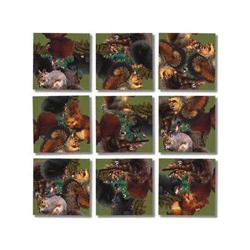 B.Dazzle Scramble Squares Puzzle Squirrels