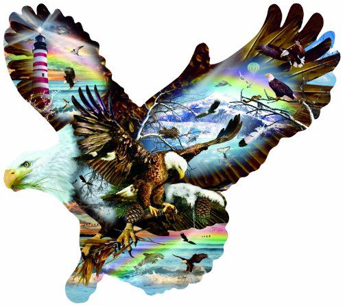 SunsOut Eagle Eye 1000 pc Jigsaw Puzzle