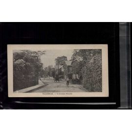 7 X 14 Cm Carte Postale En L Etat Sur Les Photos Taarbeak L'avenue Fleurie