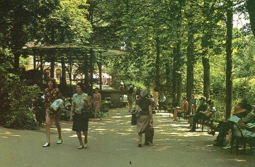 Chatel-Guyon - Puy De Dôme - Carte Couleur N° 2 Le Parc Thermal - Edition Artaud Et Cie