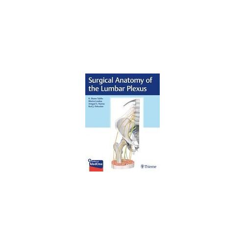 Surgical Anatomy Of The Lumbar Plexus