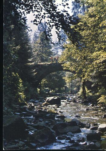 Carte Postale De Gérardmer (Vosges) Le Pont Des Fées