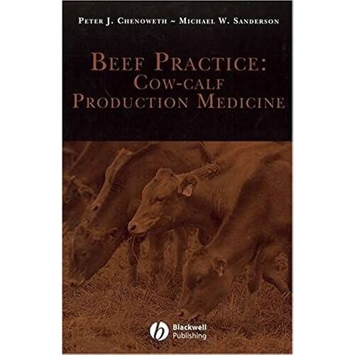 Beef Practice