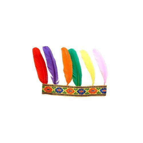 Bandeau Indien 6 Plumes