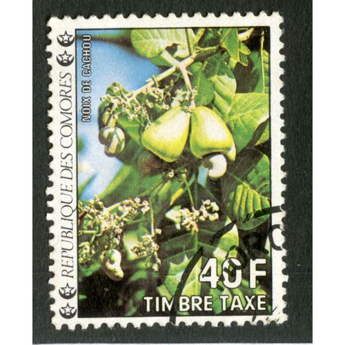 Timbre Oblitéré République Des Comores, Noix De Cachou, Timbre Taxe, 40 F