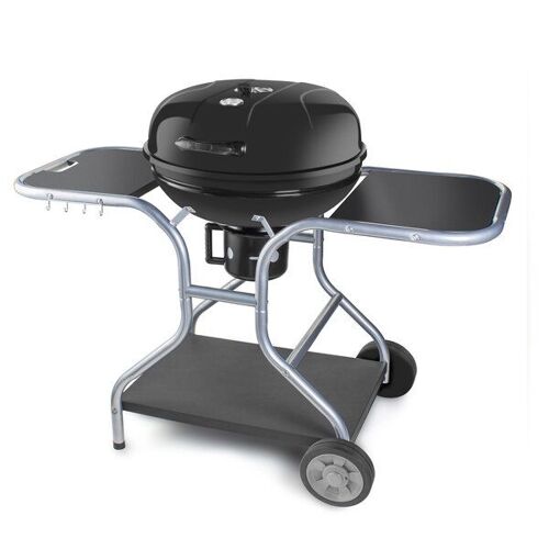 Fieldmann FZG 1014 Grill Charbon de bois (combustible) Noir, Acier inoxydable