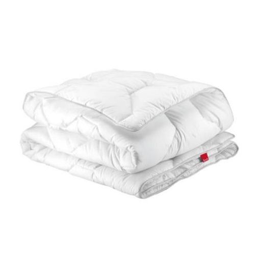 Epéda Aloe Vera Hiver 240 X 260 Cm