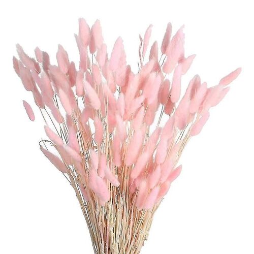 60pcs Fall Dried Flowers Bunny Tails Fleurs pour Floral séché (rose)