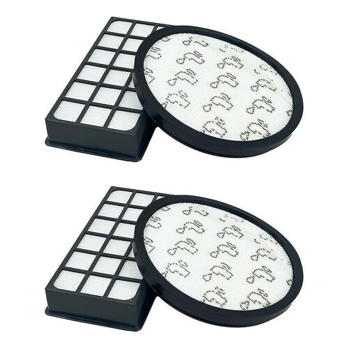 Compatible avec le filtre Zr903701 Compatible avec Ro7676ea, Ro7681ea, Ro7611ea, Ro7634ea Vacuum Access