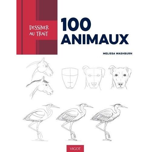 100 Animaux - Des Modèles Pas À Pas Pour Apprendre À Dessiner Les Animaux En Mouvement