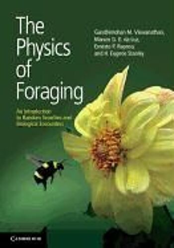 The Physics Of Foraging