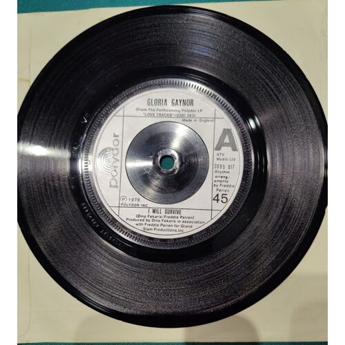 Gloria Gaynor I Will Survive Vinyle 45 Tours