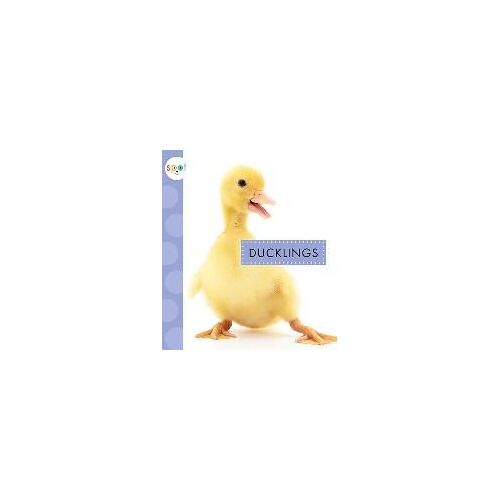 Ducklings