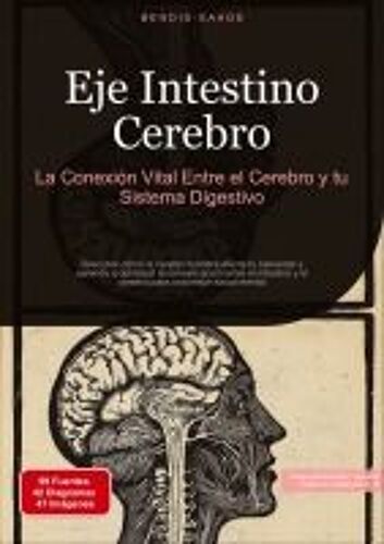 Eje Intestino Cerebro: La Conexión Vital Entre El Cerebro Y Tu Sistema Digestivo