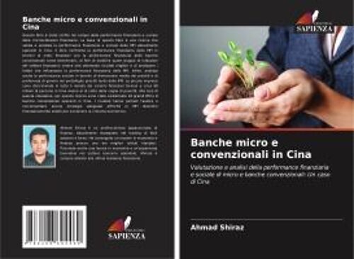 Banche Micro E Convenzionali In Cina