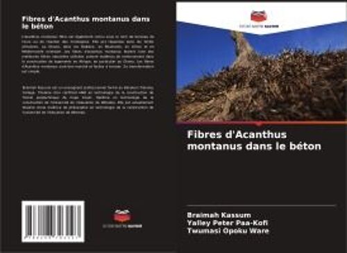 Fibres D'acanthus Montanus Dans Le Béton