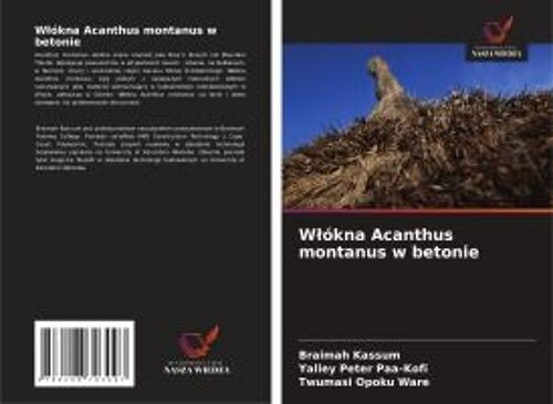W¿Ókna Acanthus Montanus W Betonie