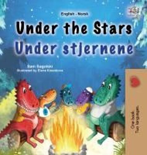 Under The Stars (English Norwegian Bilingual Kids Book)