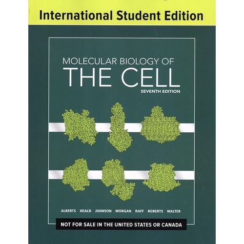 Molecular Biology Of The Cell