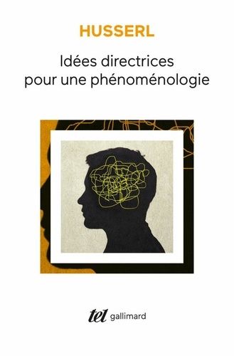 Idées Directrices Pour Une Phénoménologie
